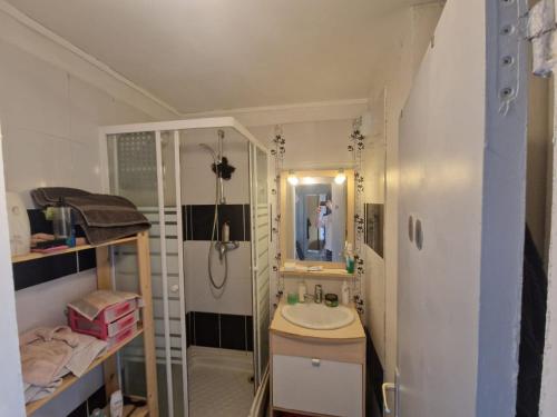 une petite salle de bain avec un lavabo et une douche dans l'établissement appartement entiere, à Soisy-sous-Montmorency