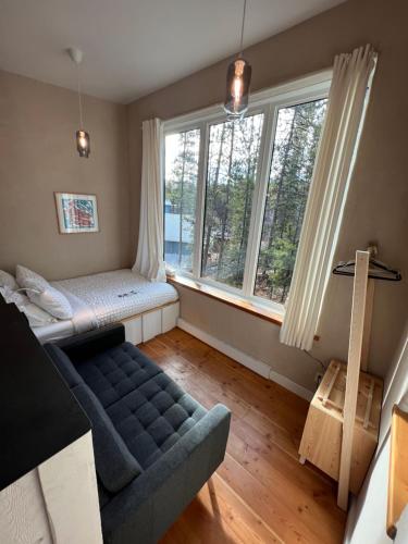 a living room with a couch and two windows at Black Spruce - Yellow Door in Whitehorse