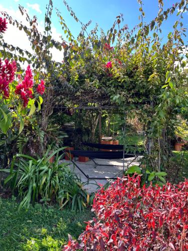 a garden with a pergola with flowers and plants at Finca Hotel San Miguel in Calarcá