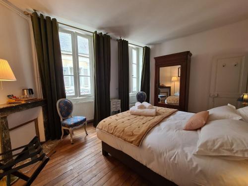 a bedroom with a large bed and a mirror at Chambre cosy avec lit double et salle d'eau privative - Petit-déjeuner inclus - FR-1-591-603 in Châteauroux