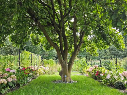 a tree in the middle of a garden with flowers at Maison Trianon 1928 in Quiévrechain