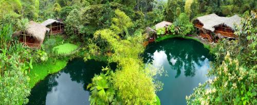 an aerial view of a river with houses and trees at Mindo Lago Hotel Destino in Mindo