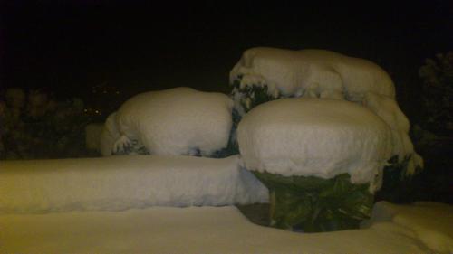 two animal sculptures covered in snow at night at Appartment Gertrud Flatz in Sankt Anton im Montafon