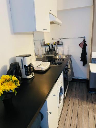 une cuisine avec un comptoir et un appareil. dans l'établissement Comfortable Studio in Clichy, à Clichy