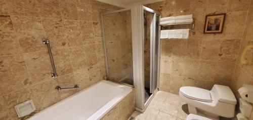 a bathroom with a tub and a toilet and a shower at 麗隆商旅LilongHotel in Kaohsiung