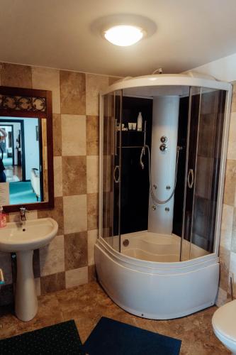 a bathroom with a shower and a sink at Hanul Pescarilor Crisan in Crisan