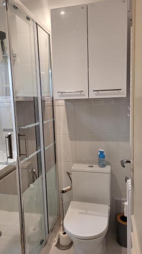 une salle de bain avec toilettes et douche en verre dans l'établissement Studio, à Cannes