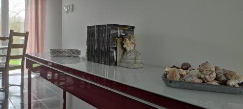 a counter top with some animals on it at Capstay - Brest - Lambezellec- 7 minutes des plages et du port in Brest