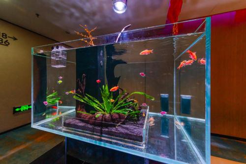 Gambar di galeri bagi Chengdu Cosy Inn di Chengdu