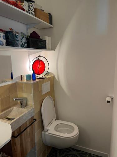 a bathroom with a toilet and a sink at Grand appartement central aéré avec terrasse in Bordeaux