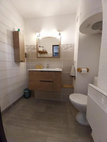 une salle de bain avec toilettes, lavabo et miroir dans l'établissement Appartement T2 CHEZ MOET, à Bernex