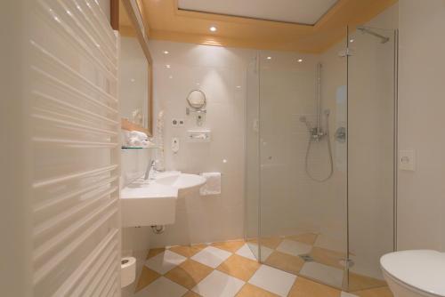 a bathroom with a shower and a sink and a toilet at Hotel Dreiflüssehof in Passau