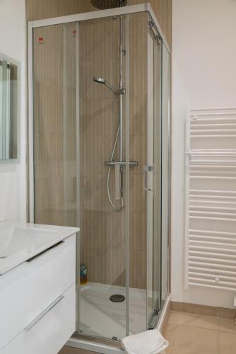 une douche avec une porte vitrée dans une salle de bain dans l'établissement Cocon douillet et lumineux dans le coeur historique, à Reims