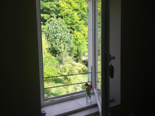 a window with a vase of flowers on a window sill at Apiculteur loue 2 chambres dans cadre verdoyant in Pagny-sur-Meuse