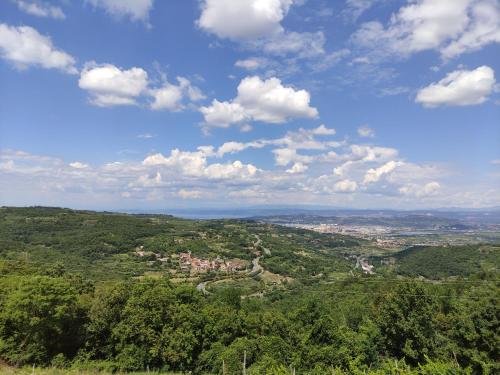 Příroda nedaleko apartmánu