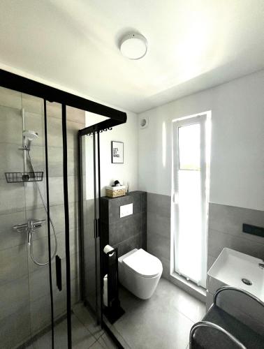 a bathroom with a toilet and a shower and a sink at Ferienhaus Flora in Altefähr