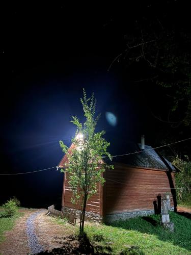 a small tree in front of a building at night at Еко Садиба Під Полониною in Sasivka