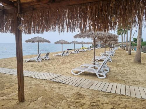 a row of lounge chairs and umbrellas on a beach at Atlantis Gardens in Mazotos