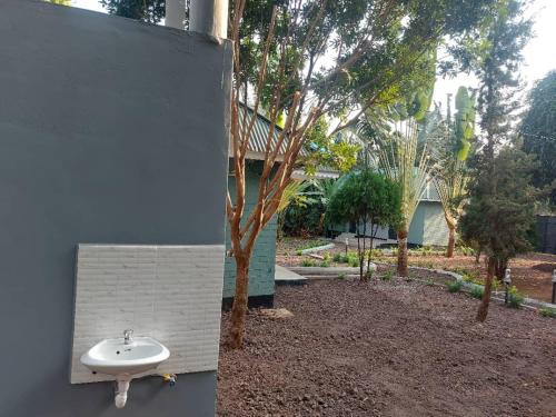 a sink on a wall next to a tree at Maro Homestay Sango in Old Moshi