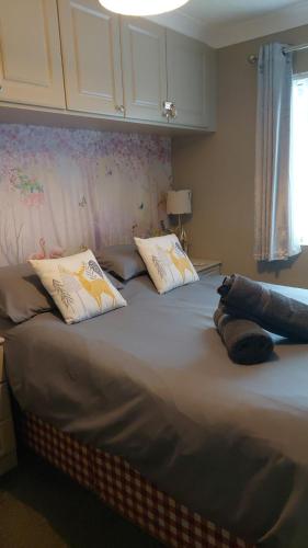 En eller flere senge i et værelse på STAG LODGE