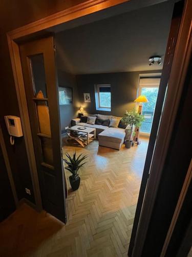 un salon avec un canapé et une table dans l'établissement Appartement Cosy Le Chesnay, à Le Chesnay