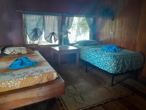 a bedroom with two beds and a window at Imagination Island Eco Resort in Gizo