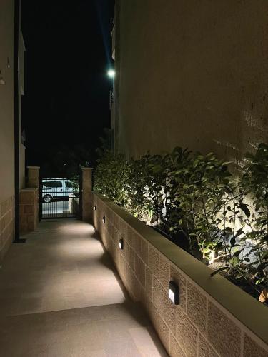 Gambar di galeri bagi Perla apartmani di Petrovac na Moru