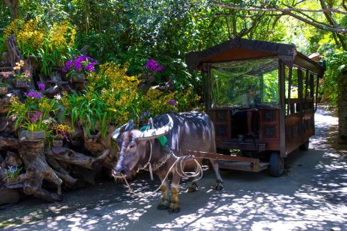 a cow standing next to a cart with flowers at 新規オープン サウナ BBQ ジャグジー付き 最大9名 無料駐車場4台 ビーチまで車で5分 SKY House in Uruma