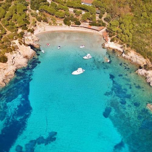 an aerial view of a beach with boats in the water at Kairos Hotel in Siğacık