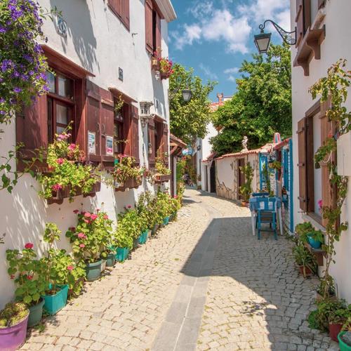 an alley with potted plants on the side of buildings at Kairos Hotel in Siğacık