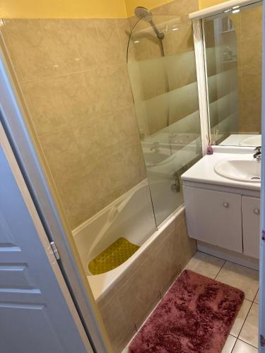 une salle de bain avec douche et lavabo dans l'établissement Chambre meublée cuisine à 20 minutes de Disneyland, à Champs-sur-Marne
