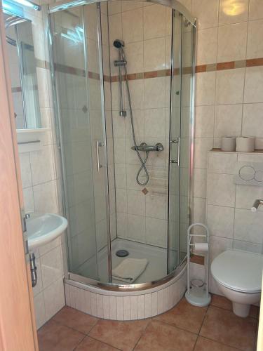 a bathroom with a shower with a sink and a toilet at Gasthaus & Metzgerei Besenhardt in Wackersdorf