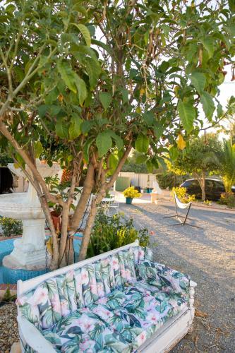 Κήπος έξω από το Bela Alexandra Guest House