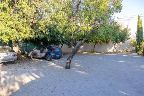 Φωτογραφία από το άλμπουμ του Bela Alexandra Guest House σε Fuzeta