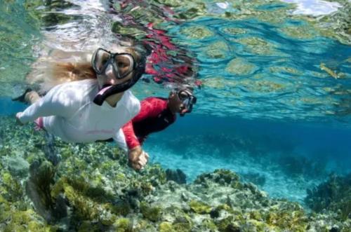 two people swimming in the water near the reef at De Clinique Hotel in Pangkor