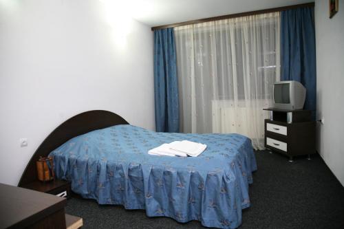 een hotelkamer met een bed en een televisie bij Pensiunea Mario & Ema in Cîrlibaba