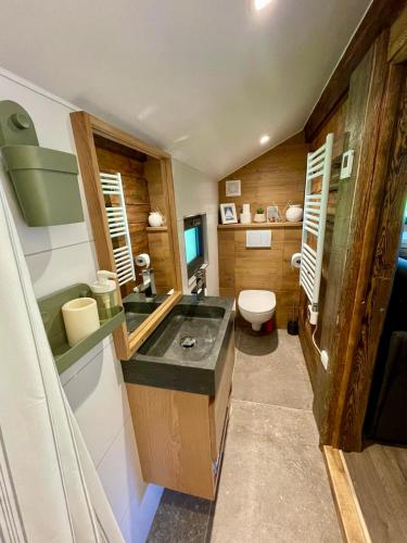 une salle de bain avec un lavabo et des toilettes dans l'établissement Les Chalets du Glacier - Mazot des Glaces - Chamonix, à Chamonix-Mont-Blanc