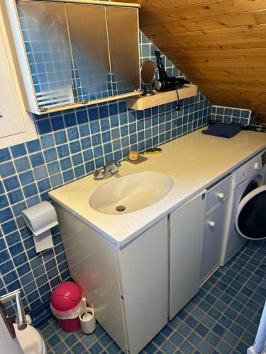 une salle de bain avec un lavabo et une machine à laver dans l'établissement Le chalet sur le toit, à Briançon