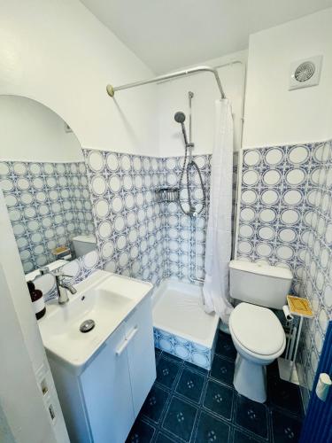 une salle de bain avec toilettes, lavabo et douche dans l'établissement Studio calme plein centre 50m plage, à Le Touquet-Paris-Plage