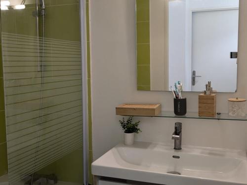une salle de bain avec un lavabo et une douche dans l'établissement Appartement F3 proche Disneyland, à Bussy-Saint-Georges