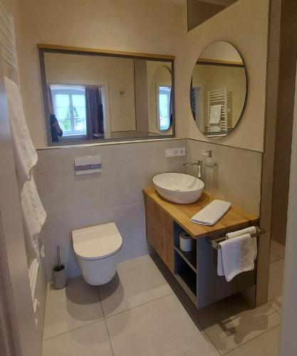 a bathroom with a sink and a toilet and a mirror at Gasthof Russenbräu in Tiefenbach