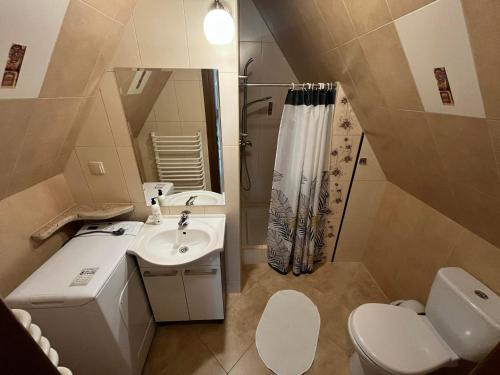 a small bathroom with a sink and a toilet at U Celiny - Widok na Tatry - Region Białki Tatrzańskiej in Rzepiska