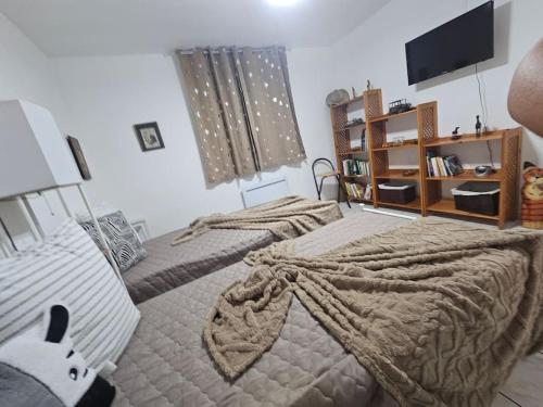 - une chambre avec 2 lits et une télévision dans l'établissement La Casa D'Eole YourHostHelper, à Narbonne