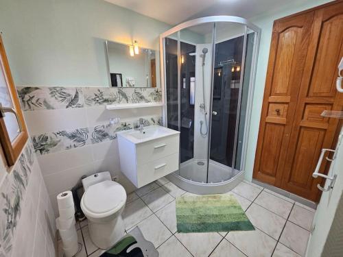 une salle de bain avec une douche, des toilettes et un lavabo dans l'établissement La Casa D'Eole YourHostHelper, à Narbonne