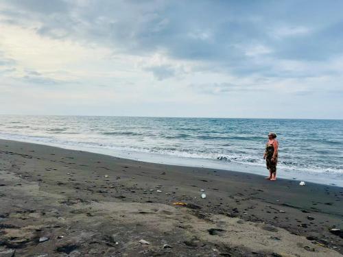 Landskap semula jadi dekat dengan vila ini