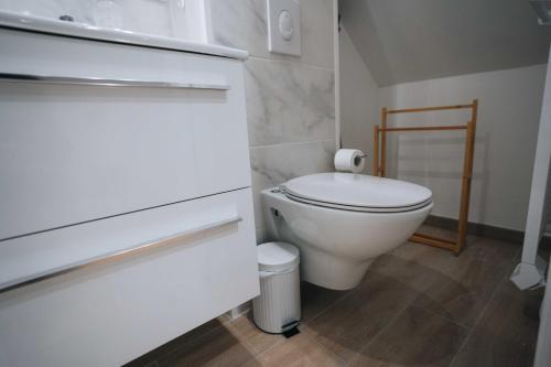 une salle de bain avec toilettes et lavabo dans l'établissement Le Jardin de George - Le Tout Confort, à Châteauroux