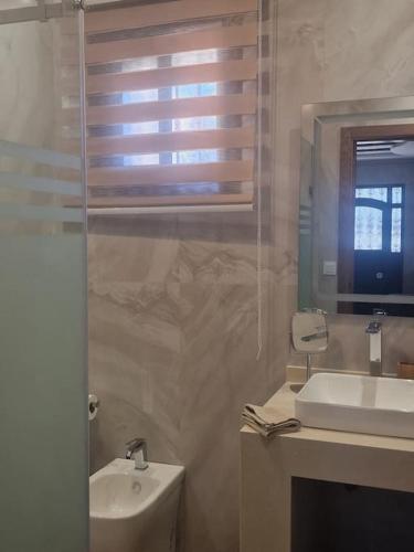 a bathroom with a sink and a toilet and a mirror at Villa Fatma in Haraka