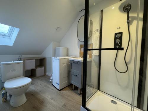 a bathroom with a shower with a toilet and a sink at Les lys beiges - 4pers - Rêve au Mans in Coulaines