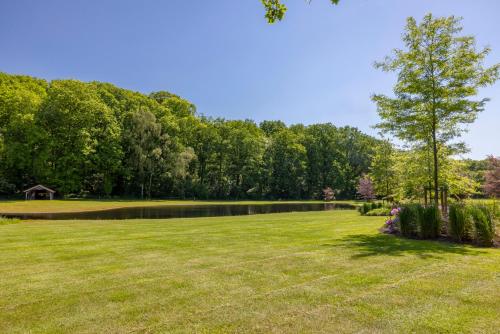 a grassy field with a pond and a tree at 't Borghuis in Losser