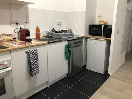 une cuisine avec un évier et une cuisinière four supérieur dans l'établissement Les jardins d'abraxas, à Noisy-le-Grand